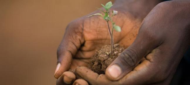 Le Gabon émergent, projet de société du Président